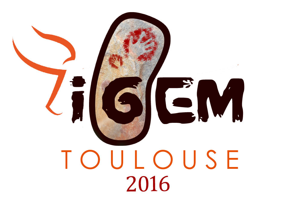 Toulouse France logo2.png