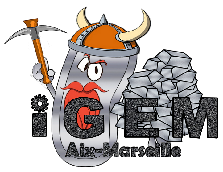 Logo for Aix-Marseille team.png