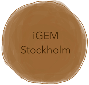 T--Stockholm--2016-10-bronze11.png