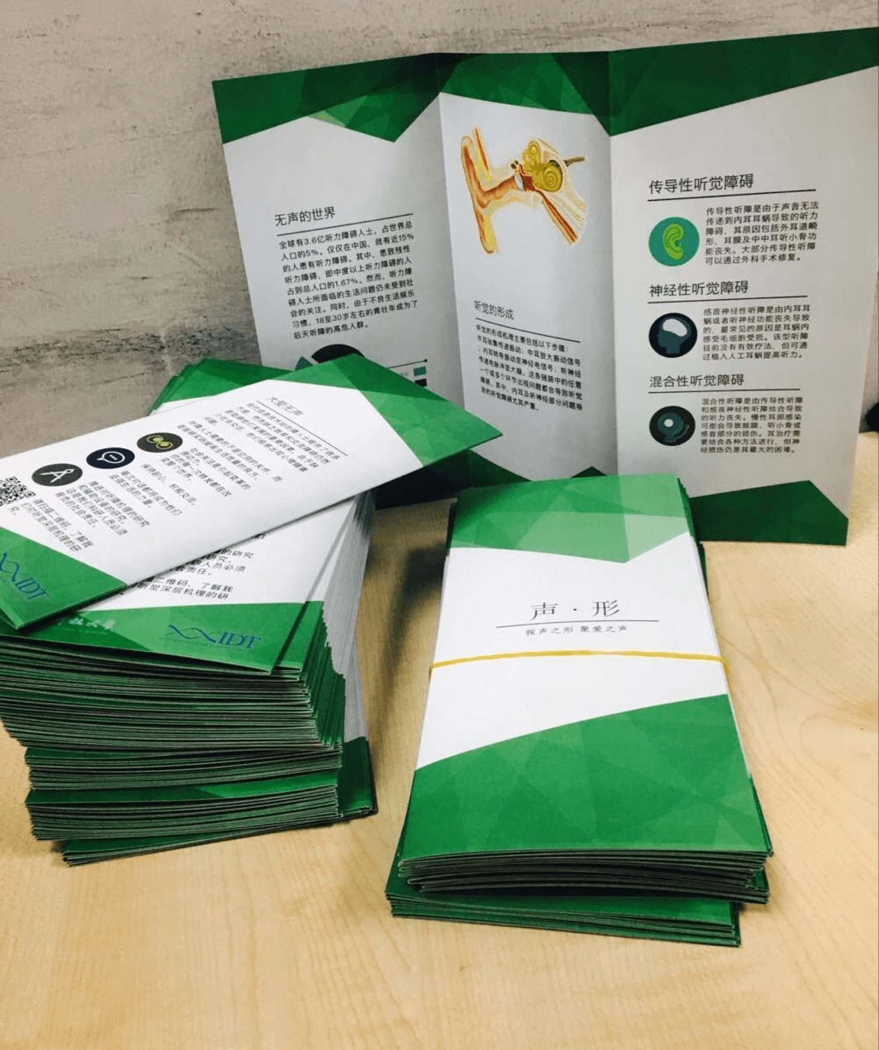 T--SUSTech Shenzhen--pamphlets-sustech.png