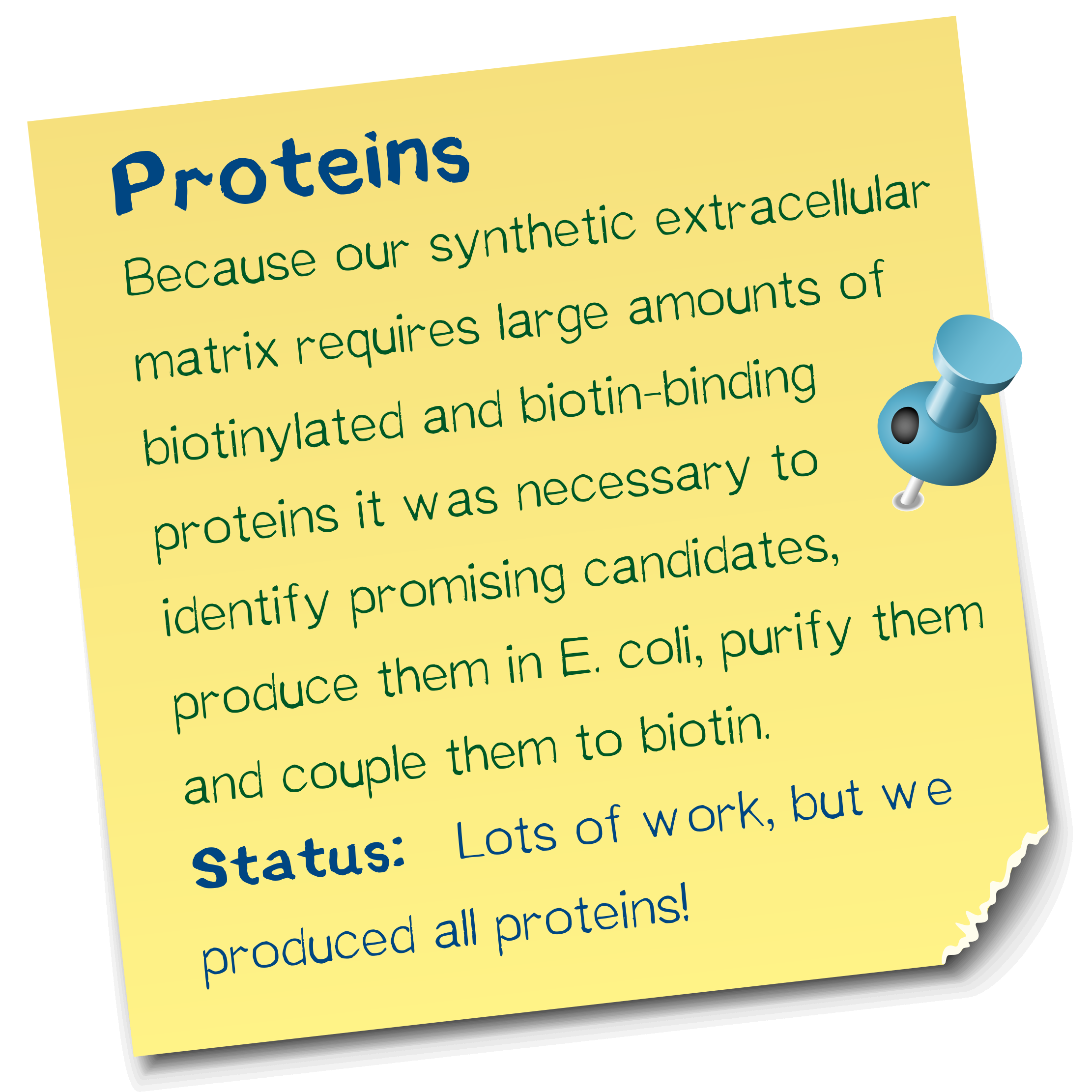 Muc16 Sticker proteins 001.png
