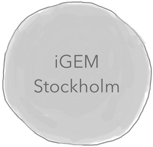 T--Stockholm--2016-10-silver11.png