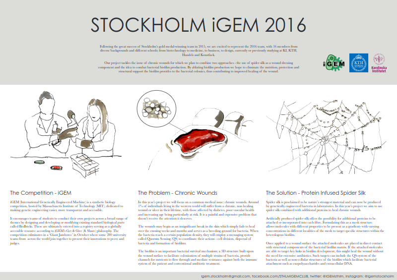 T--Stockholm--2016-10-Screenshot-2016-10-09-at-21.43.56.png