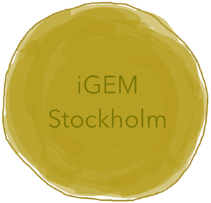 T--Stockholm--2016-10-gold11.png
